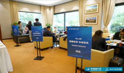 南湖基金小鎮舉辦首次轉讓類項目對接交流會，技術交流與轉讓成焦點